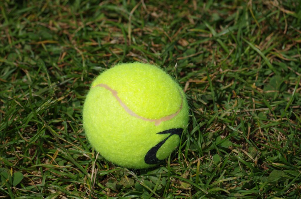 Yellow tennis ball on green grass